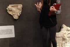 Insula Romana delle Generali